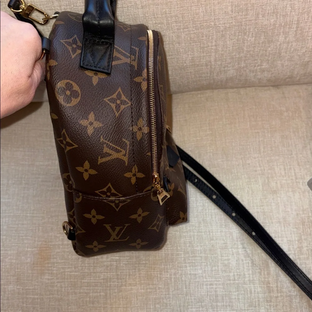 Louis Vuitton Monogram Palm Springs Mini Backpack - Picture 2 of 8